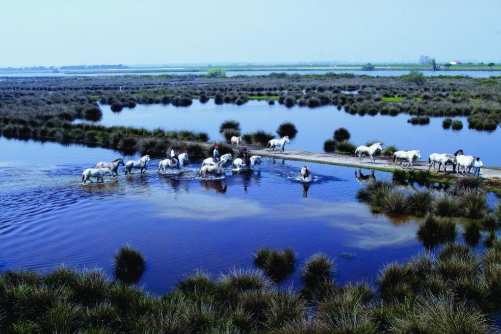 On horseback in the heart of the Po Delta Park