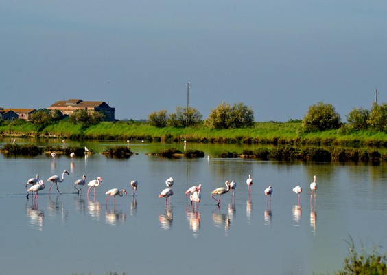 Cycling in Salina